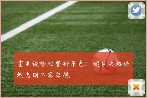 霍里谈哈珀替补角色：超巨之路依然光明不容忽视