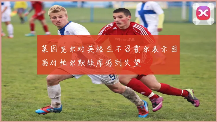 莱因克尔对英格兰不召霍尔表示困惑对帕尔默缺席感到失望