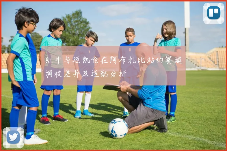 红牛与迈凯伦在阿布扎比站的赛道调校差异及适配分析
