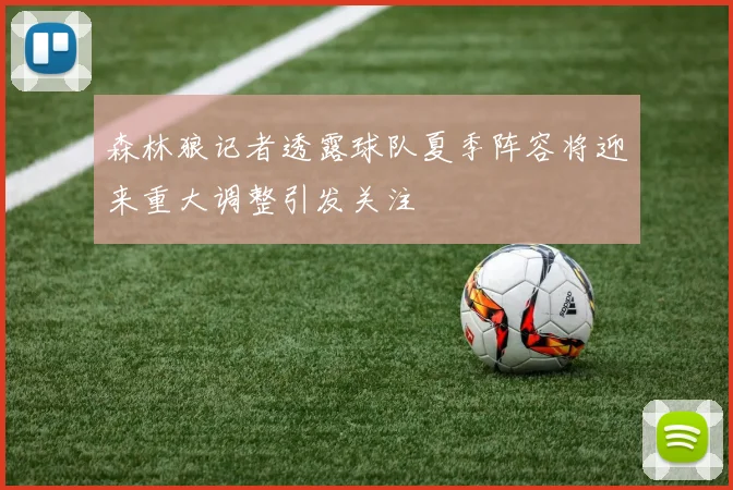 森林狼记者透露球队夏季阵容将迎来重大调整引发关注